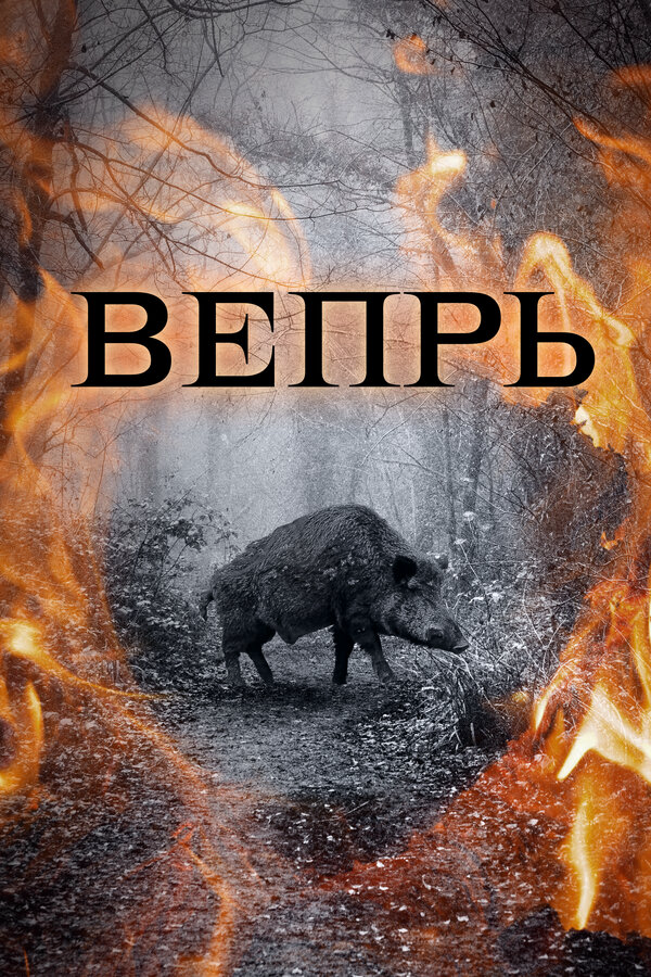 Вепрь 2005 постер